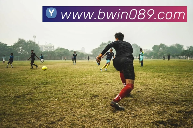 奖项证书